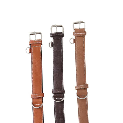 Premium Dog Collar | 100% Genuine Leather | Durable & Comfortable Pet Collar