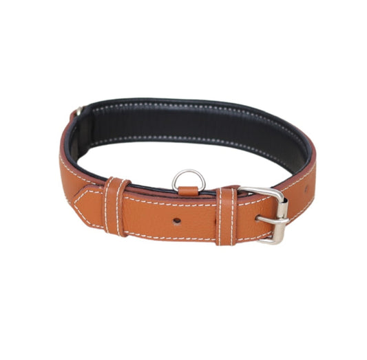 Premium Dog Collar | 100% Genuine Leather | Durable & Comfortable Pet Collar